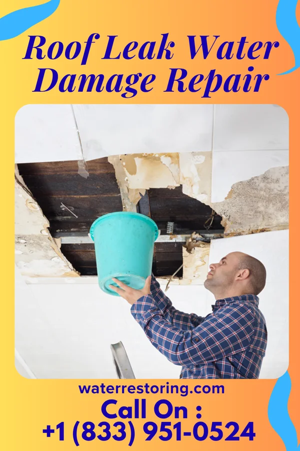 Roof Leak Water Damage Repair in Gracemont, OK